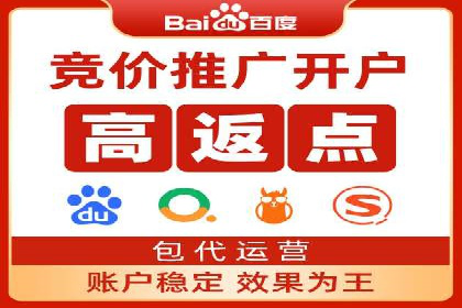 网络营销新篇章：竞价推广案例分析
